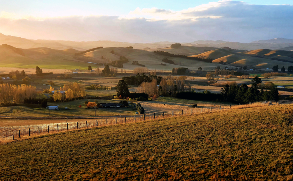 Farmland where KASH produce is sourced