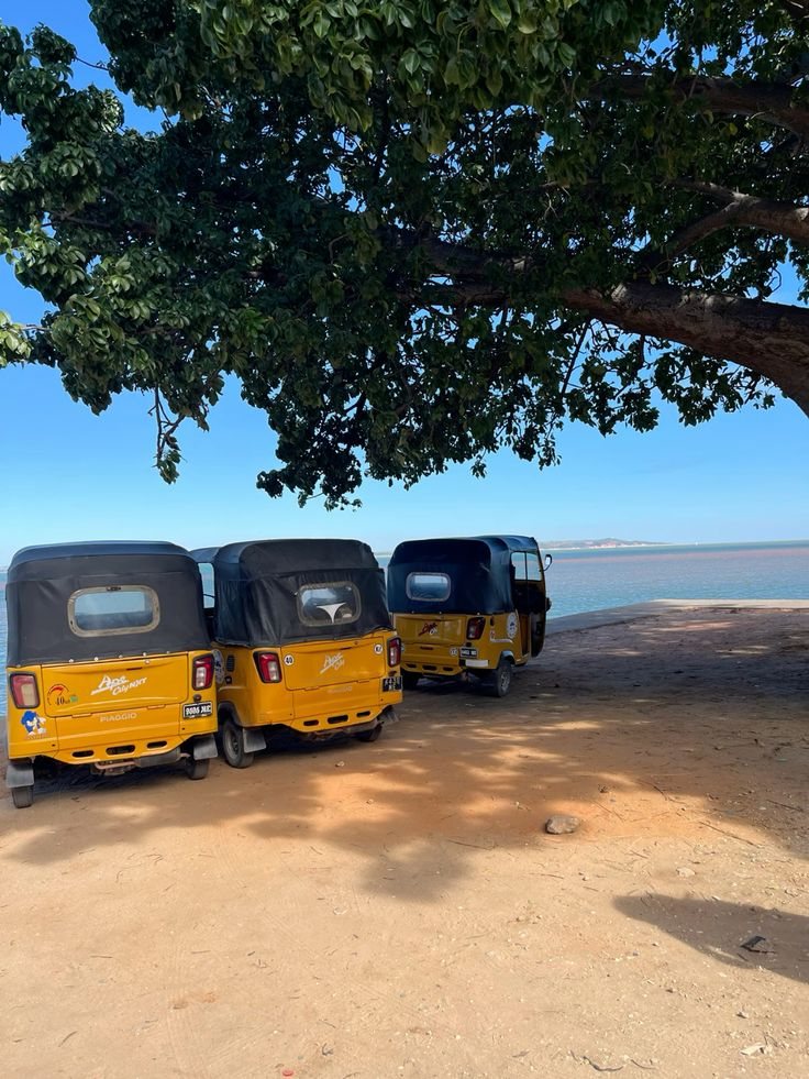KASH tuktuks