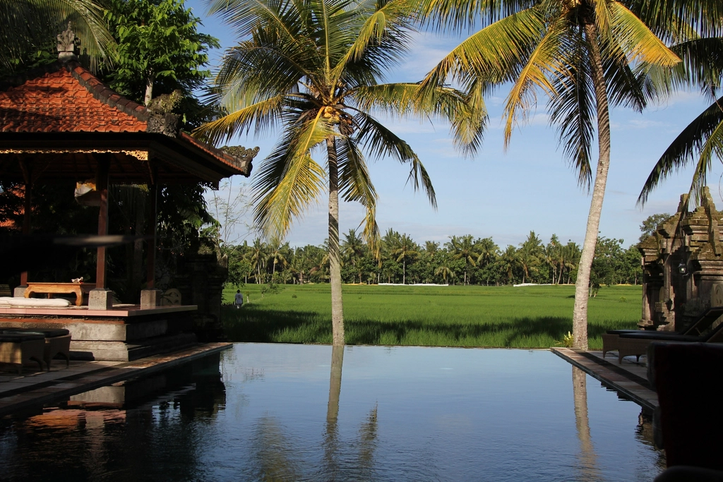 Beachfront Airbnb pool with palm trees