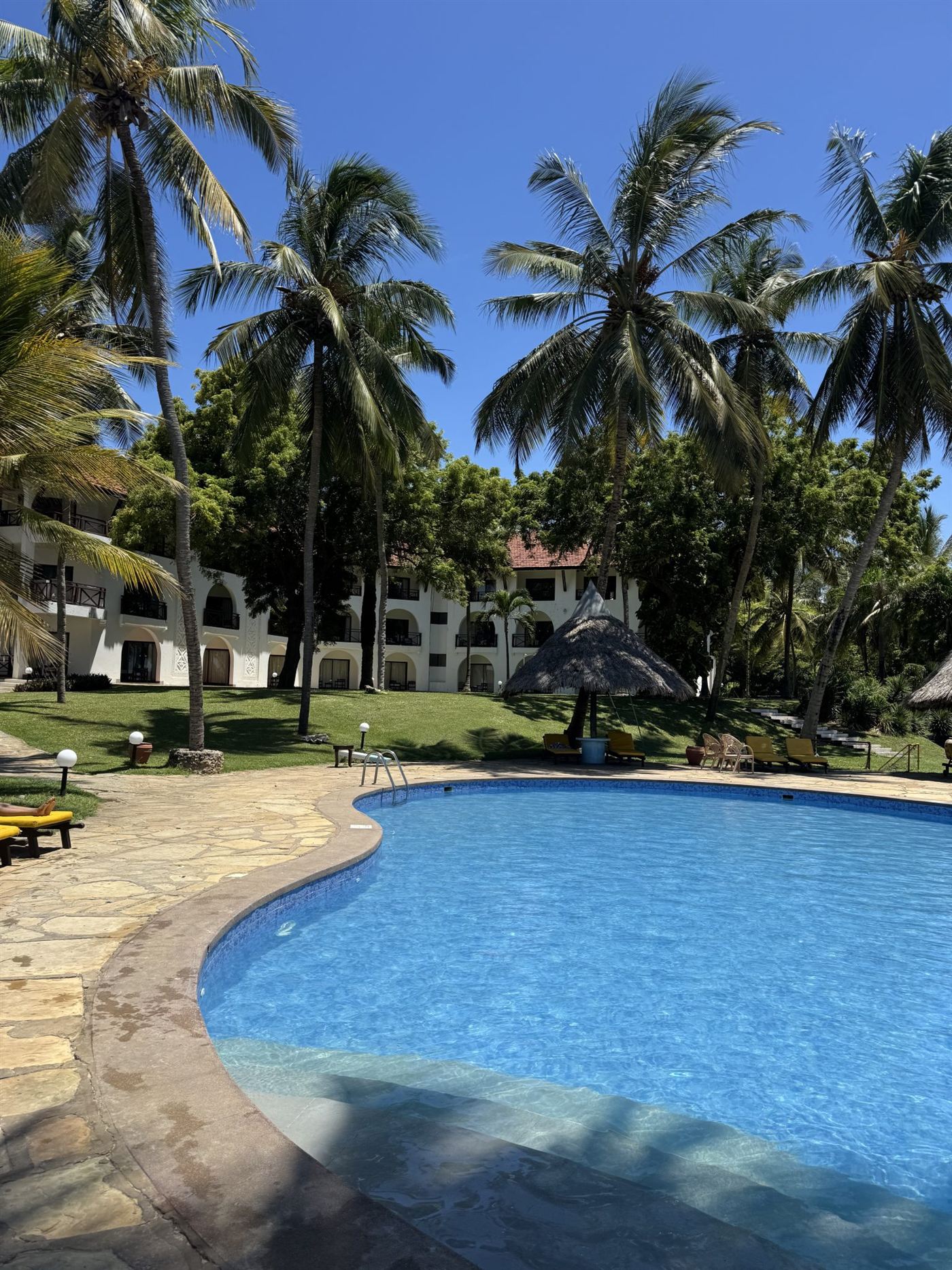 A resort pool with palm trees